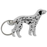 Dalmatian